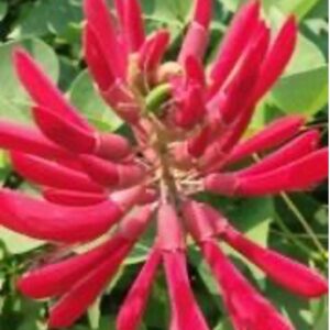 My new product for testing